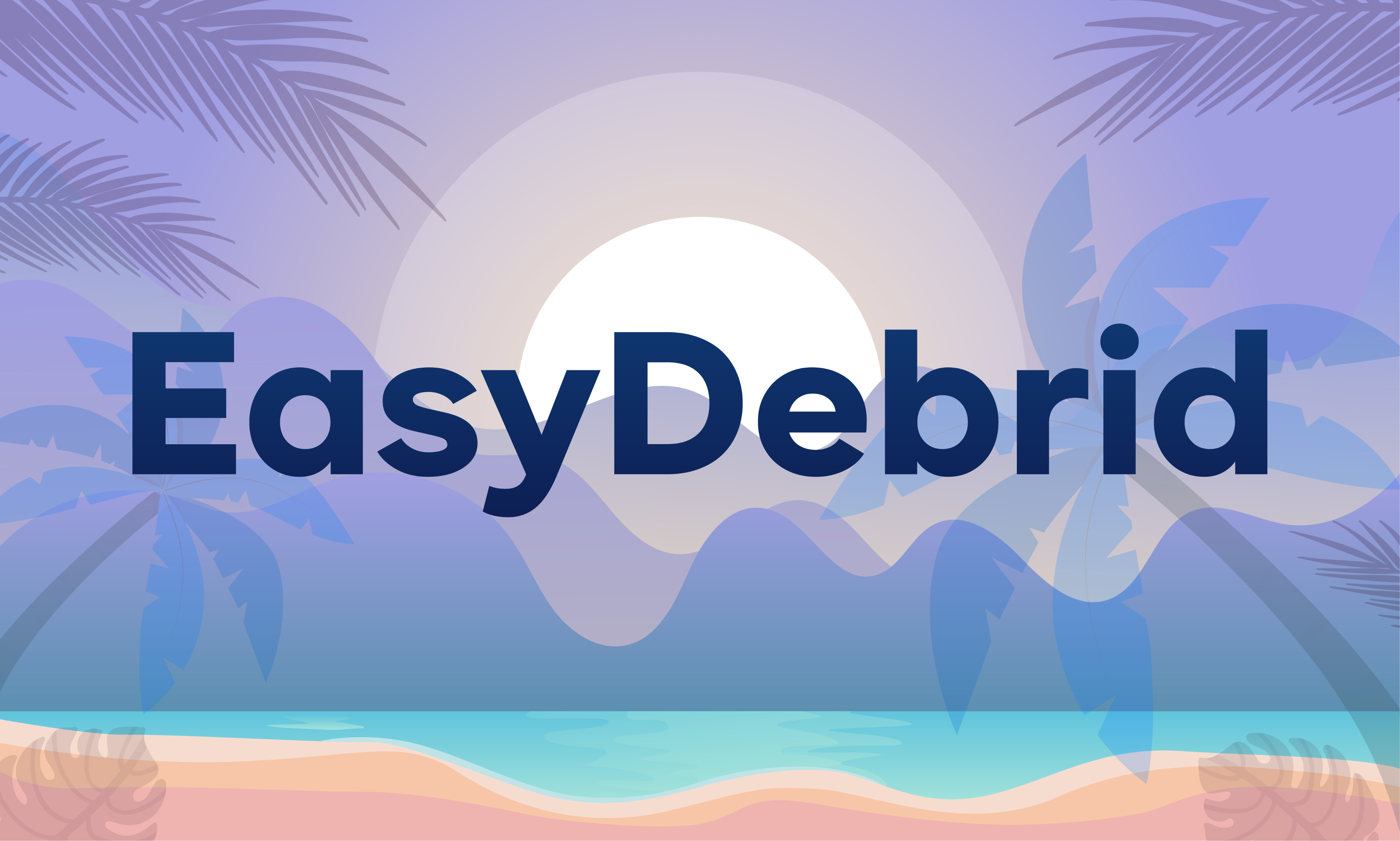 Detailed view of EasyDebrid